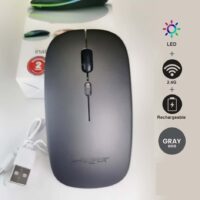 MOUSE inalambrico gris