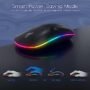 Mouse Inalámbrico Recargable Ultra RGB
