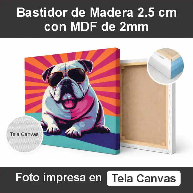 Cuadro Abstracto C1 4 tela canvas