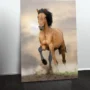 Cuadro Animales C13
