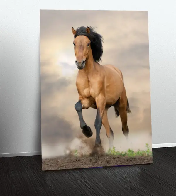 Cuadro Animales C13