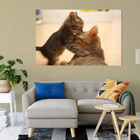 Cuadro Animales C2