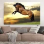 Animals c29 Cuadro Animales C29
