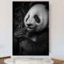 Cuadro Animales C34