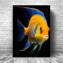 Cuadro Animales C4