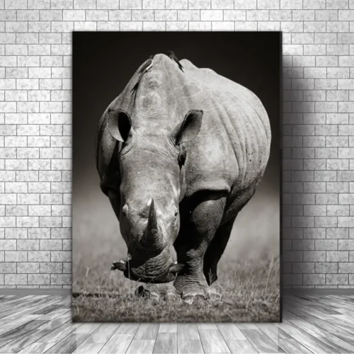 Cuadro Animales C43