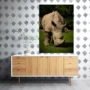 Cuadro Animales C44