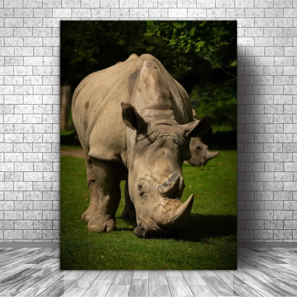 Cuadro Animales C44