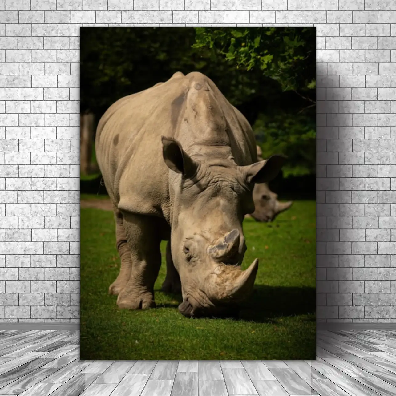 cuadro animales c44