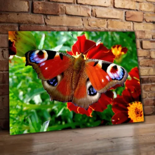Cuadro Animales C50
