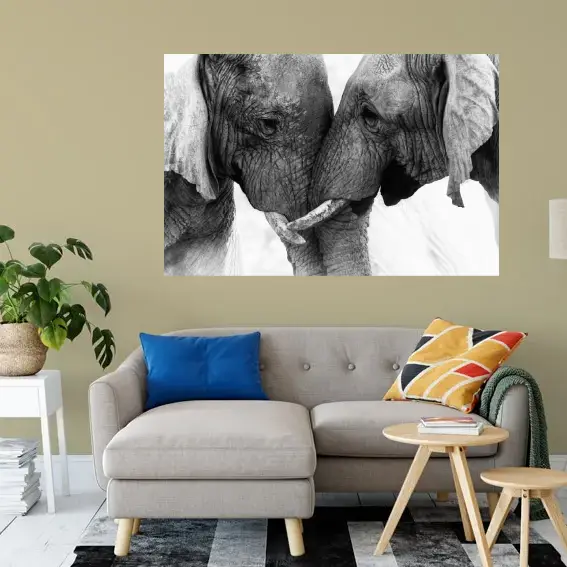 Cuadro Animales C6