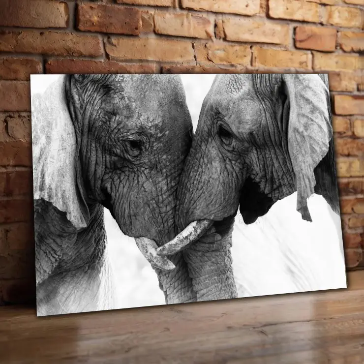 Cuadro Animales C6
