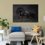 Animals c9 Cuadro Animales C9